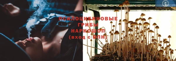 мяу мяу мука Алексеевка